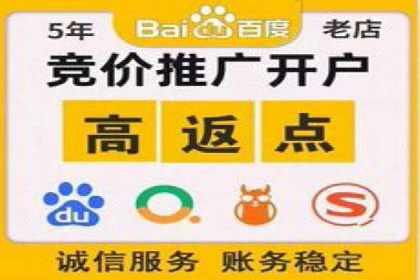 SEM推广策略：成功案例分享与启示