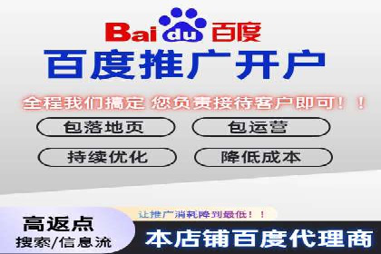 网络推广竞价策略案例分析